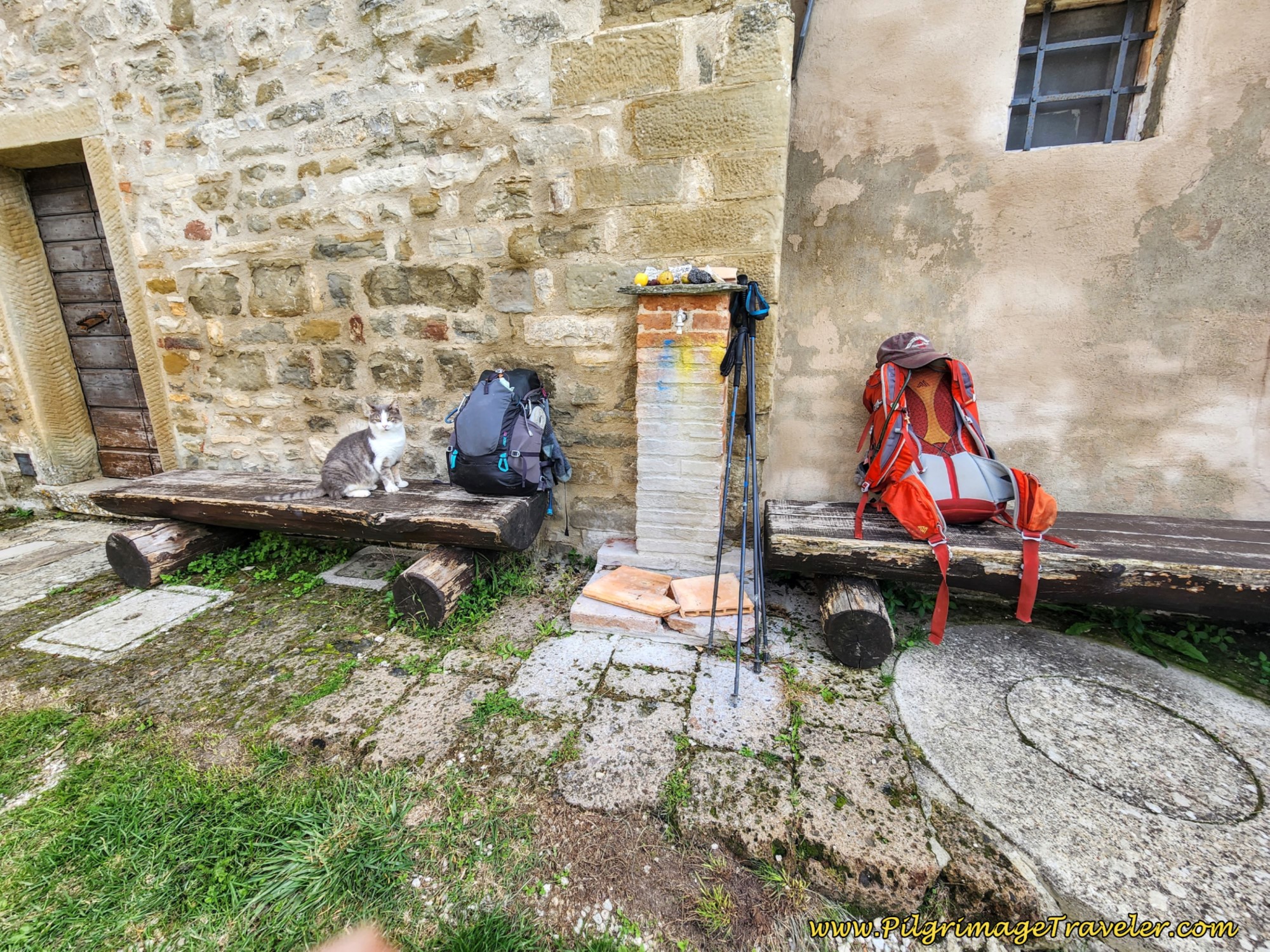 Fountain and Friendly Feline on day six on the Way of St. Francis, from Cittá di Castello to Pietralunga