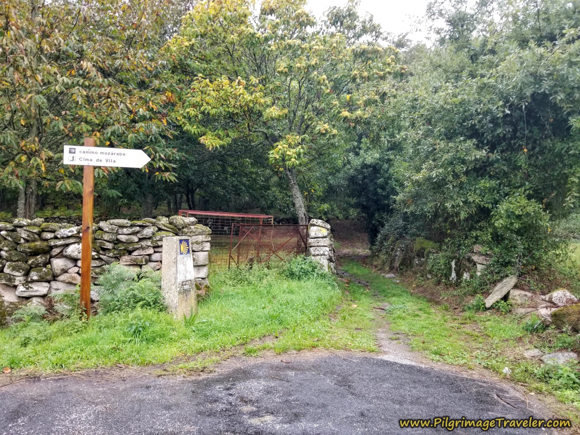 Lane Toward Cima de Vila, Camino Sanabrés, Vilar de Barrio to Xunqueira de Ambía