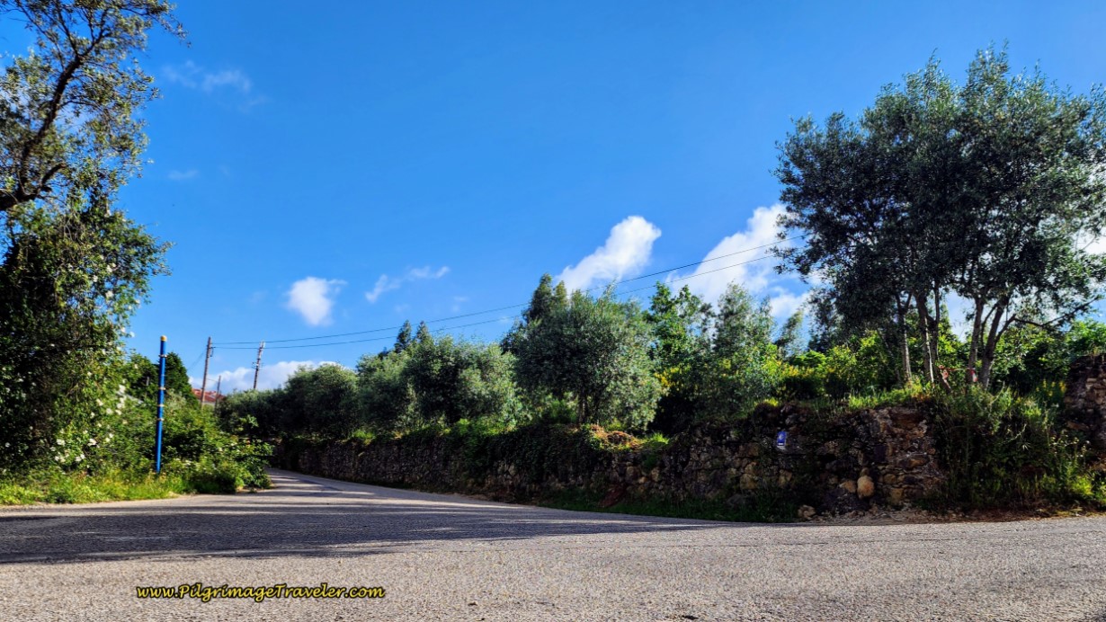 Left Turn onto the Rua Salvação