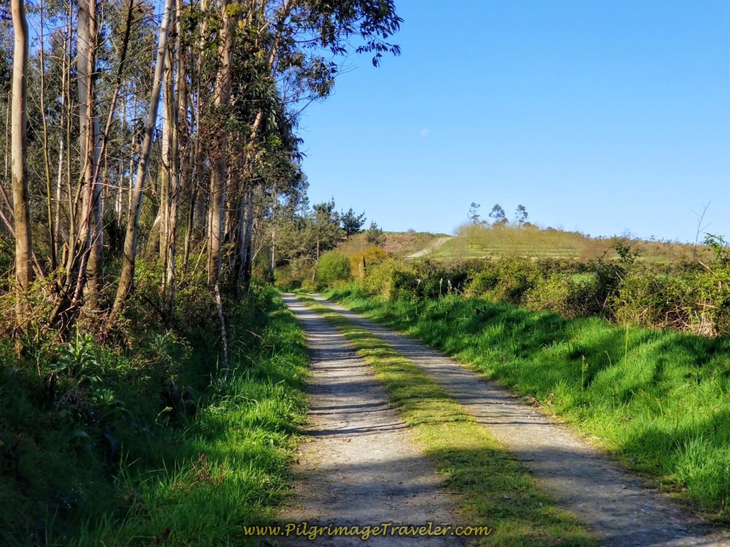 Left Turn Onto This Open Lane on day six of the Camino Inglés