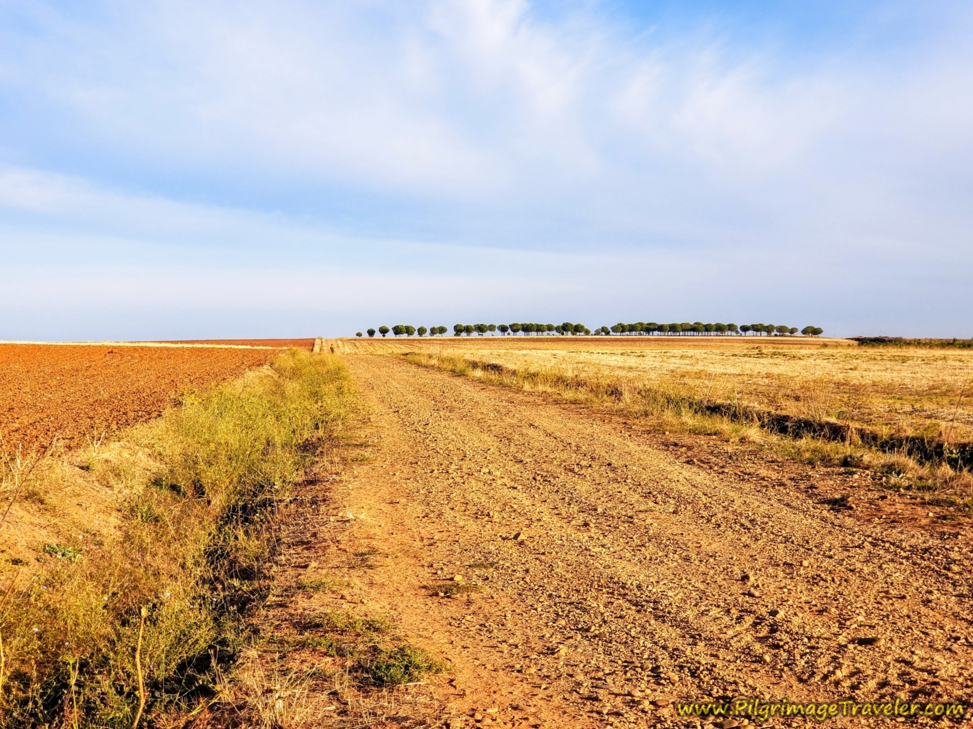 Left Turn 180 Meters Later on the Vía de la Plata from Zamora to Montamarta