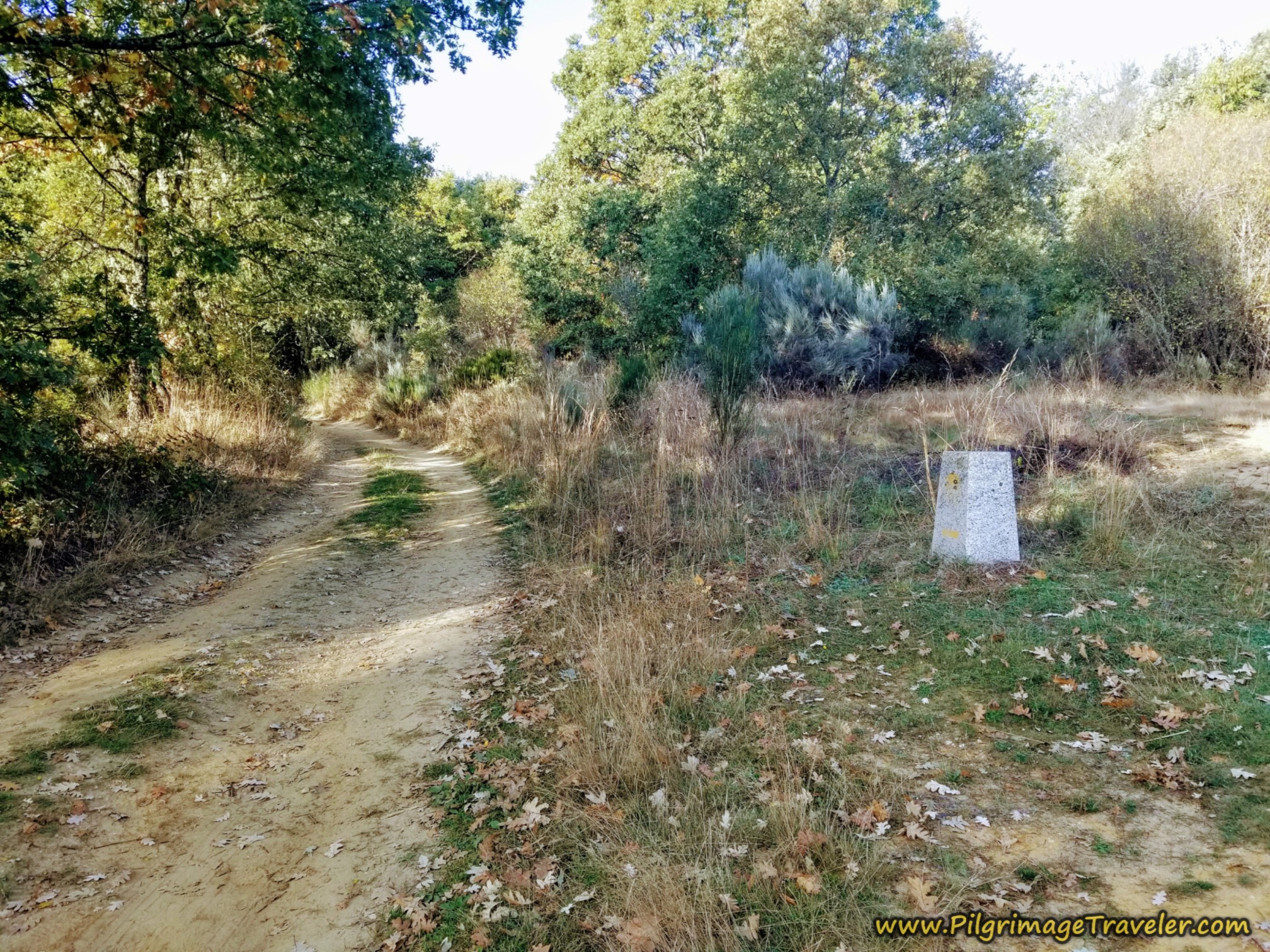 Onwards Toward Remesal