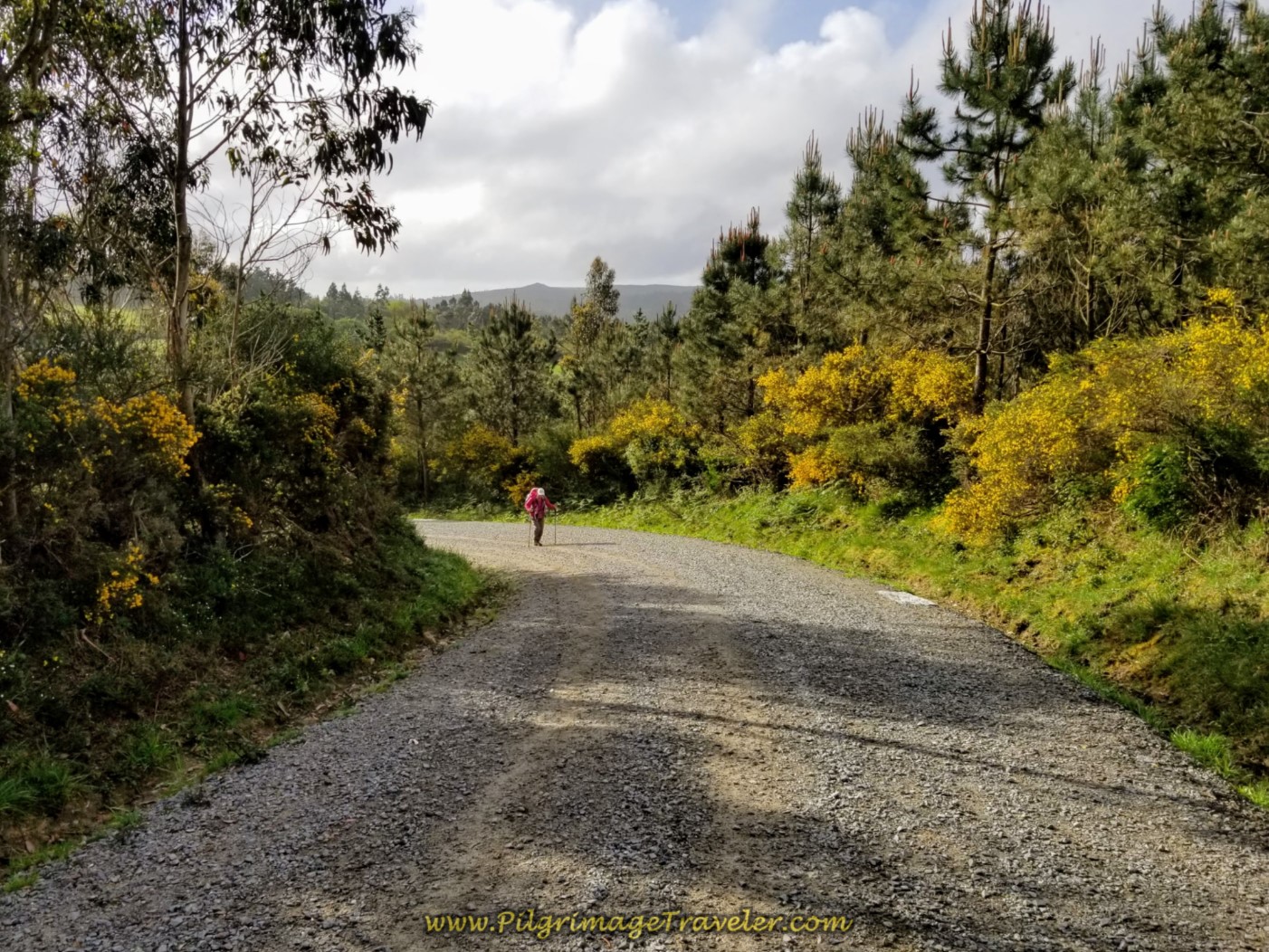 Peregrina Walks Back to Santiago