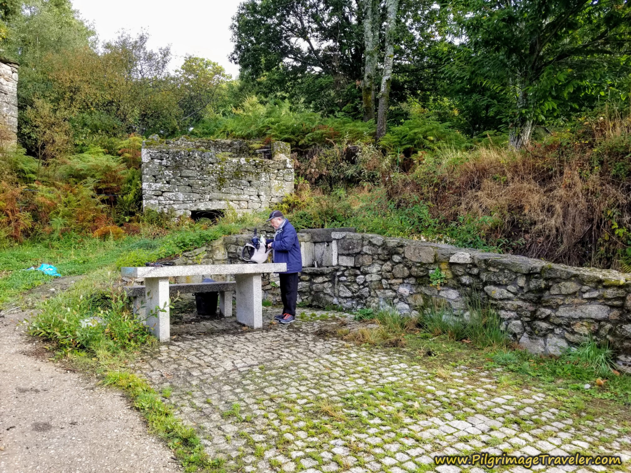 Picnic Area in A Canda