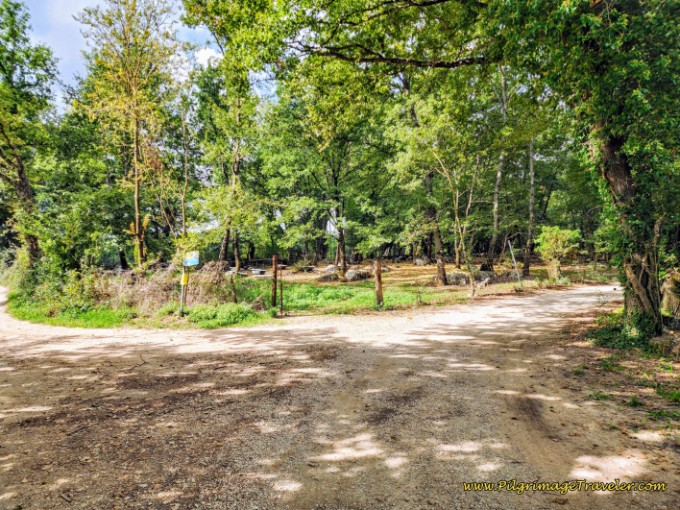 Way of St. Francis: Day Twenty, Poggio San Lorenzo to Ponticelli - Right Turn at Bathtubs