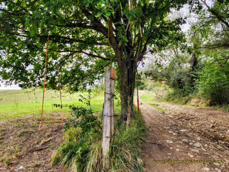 Way of St. Francis: Day Twenty-One, Ponticelli to Monterotondo - Swing for Reflection