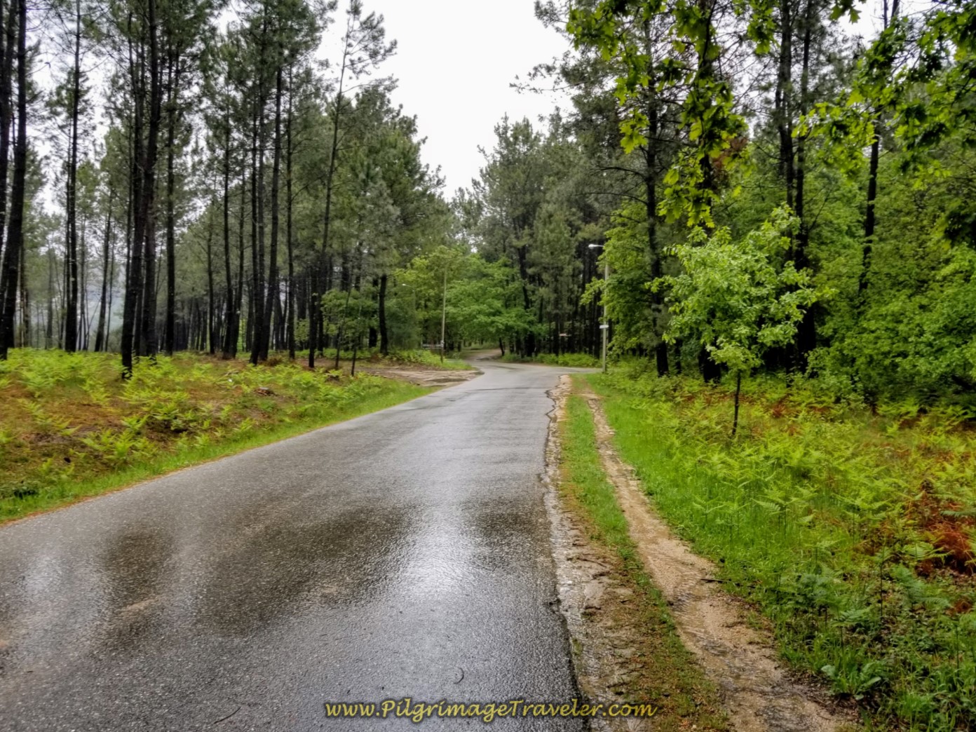 Trudging Through Fresh Rain on Pavement on day twenty-one of the central route of the Portuguese Camino