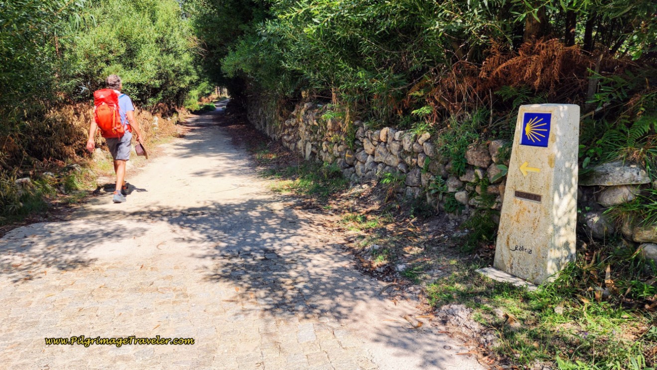 Avoiding the Highway on Day Nineteen, Camino Portugués
