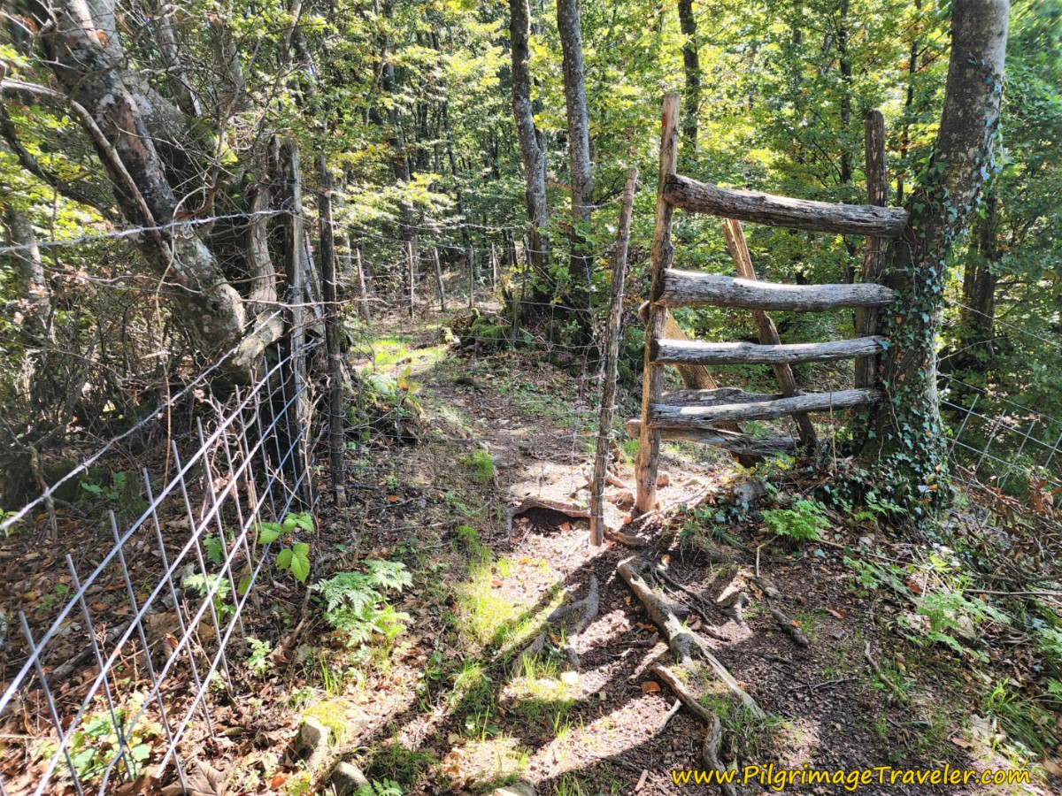 Go Through the Unique Gate on the Way of St Francis Pieve Santo Stefano to Montagna