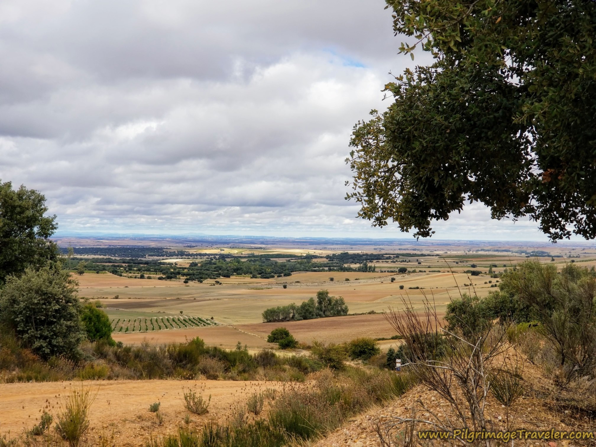 Open View of the Countryside