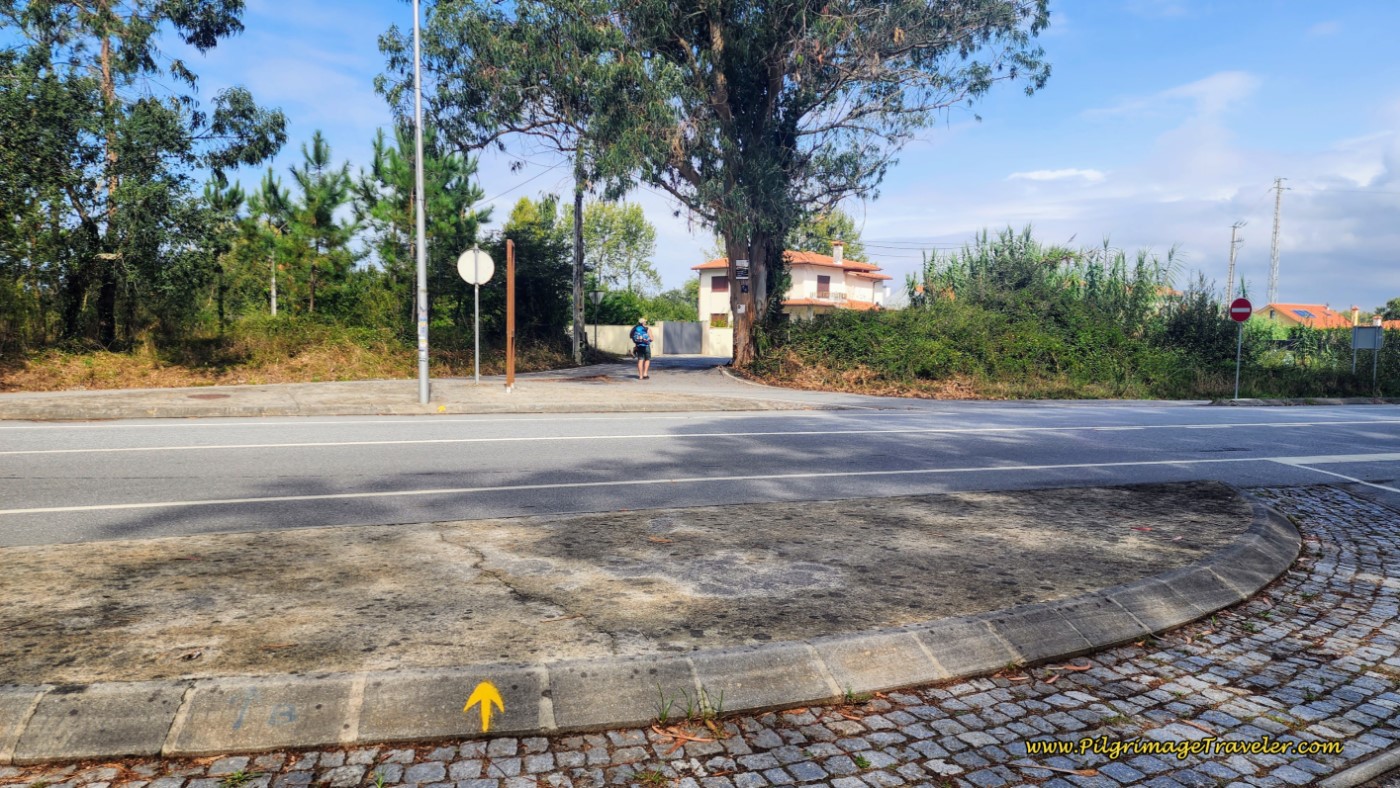 Rua do Pinhal - Go Left for the Senda Litoral
