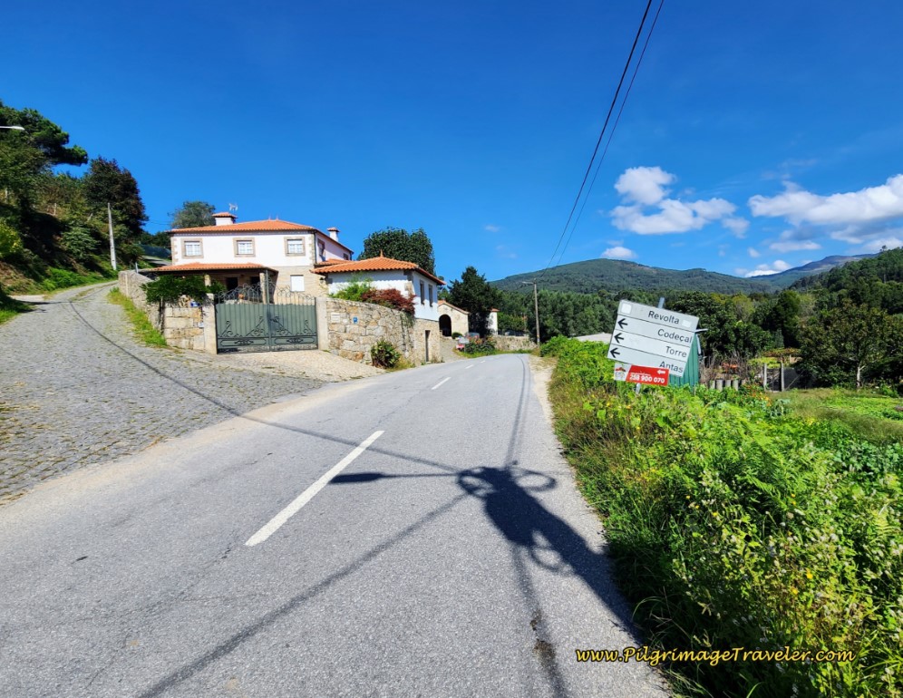 Entering the Next Town of Revolta