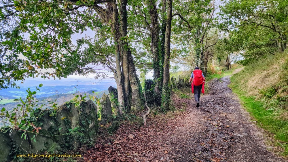 Vertical Stone-Walled Section