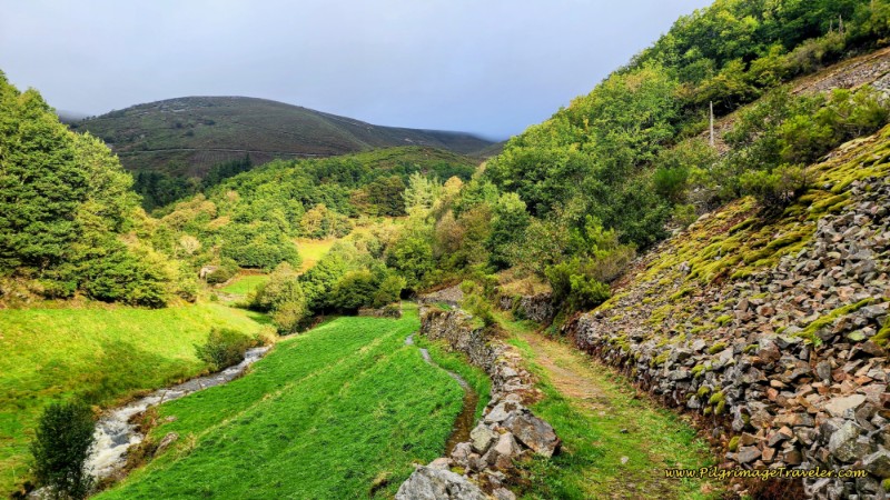 Ominous Sky at Treeline