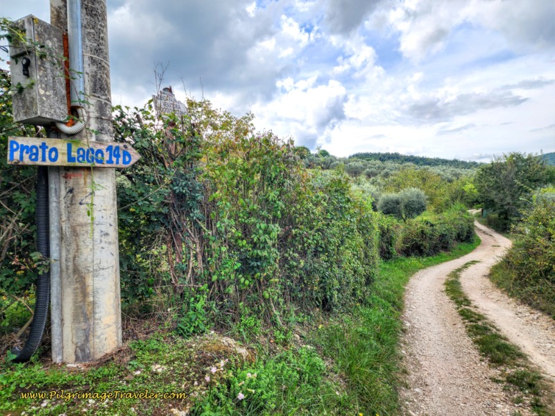 Way of St. Francis: Day Twenty, Poggio San Lorenzo to Ponticelli - Vocabolo Prato Lago