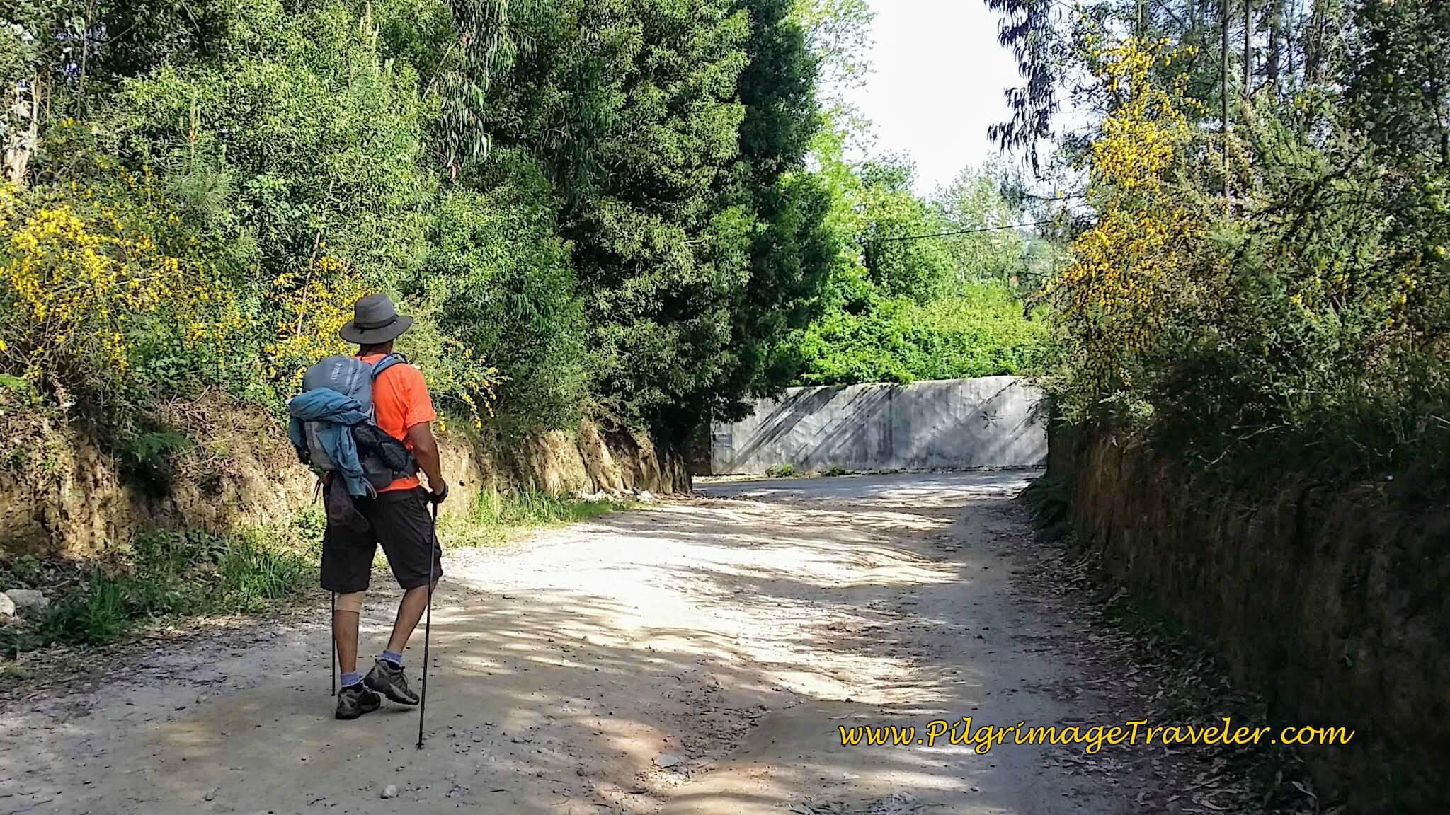 Rich on the Urbanização Flavio Avelar on day fourteen of the Portuguese Way