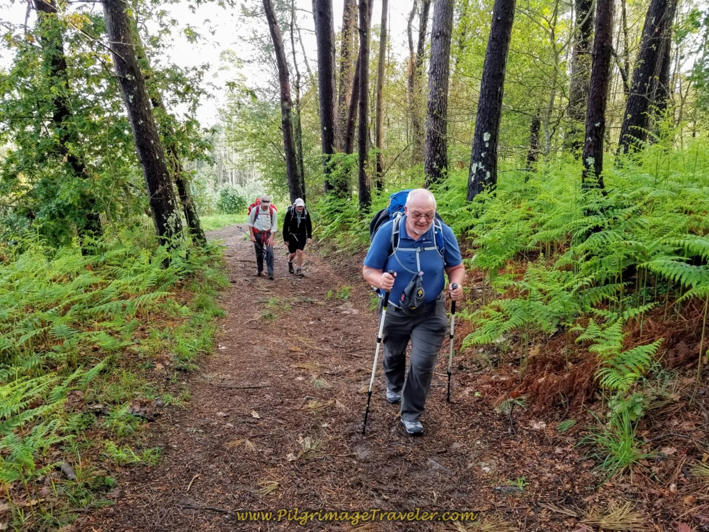 Steve Pushes On Toward the Top on day two of the Camino Inglés