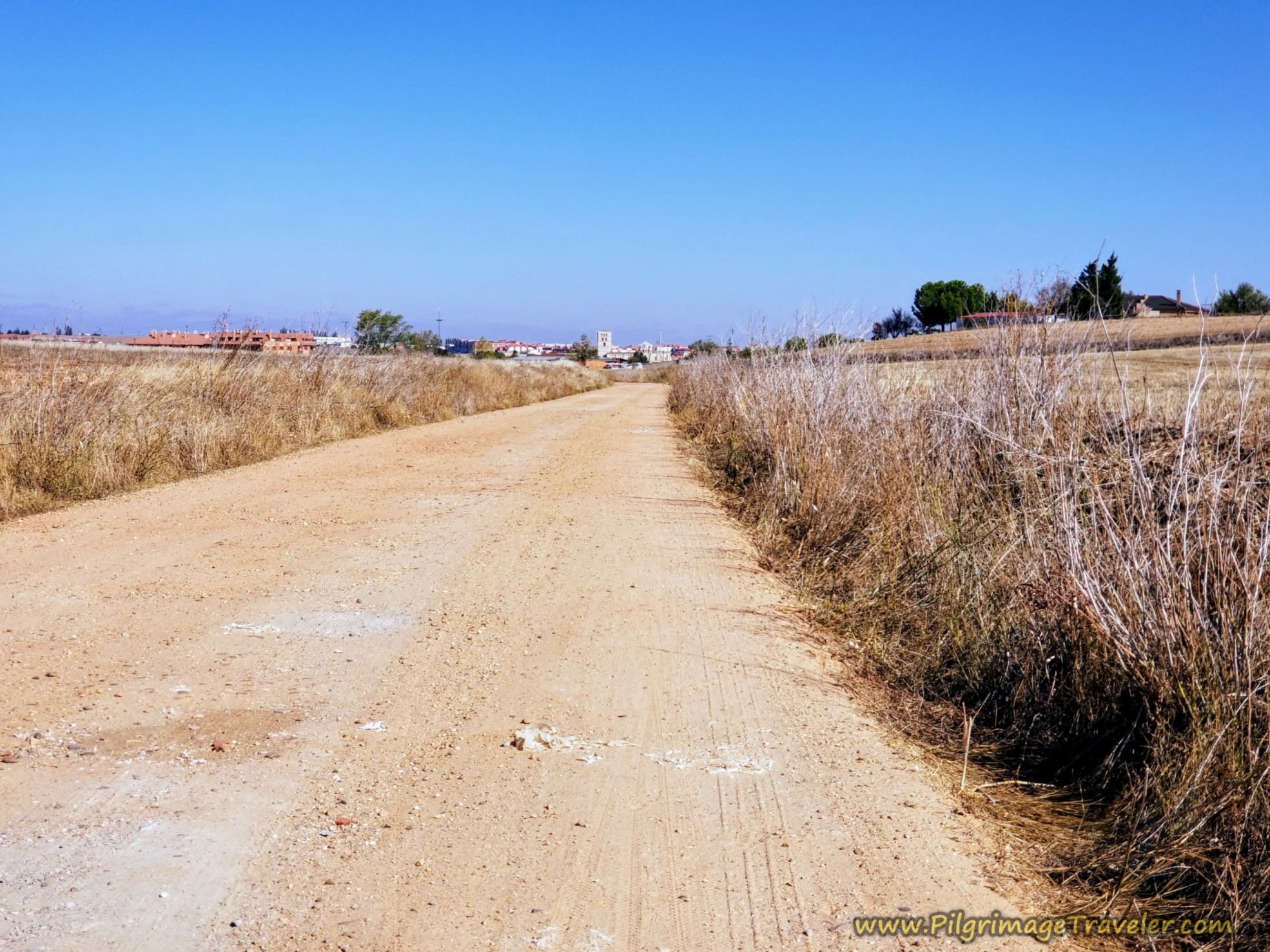Zamora in Clear Sight Ahead Zamora in Clear Sight Ahead