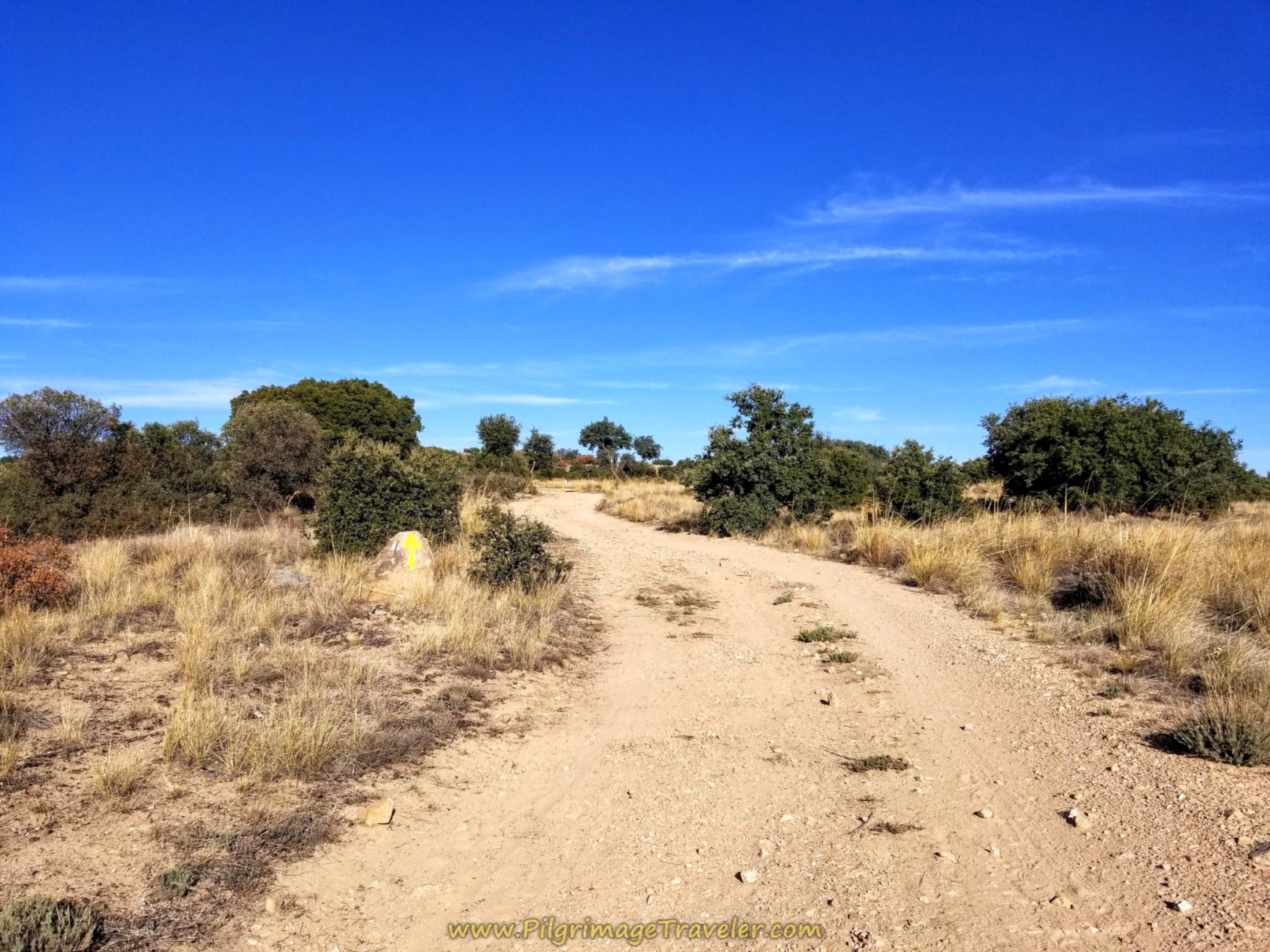 Ascend Second Elevation Ascend Second Elevation