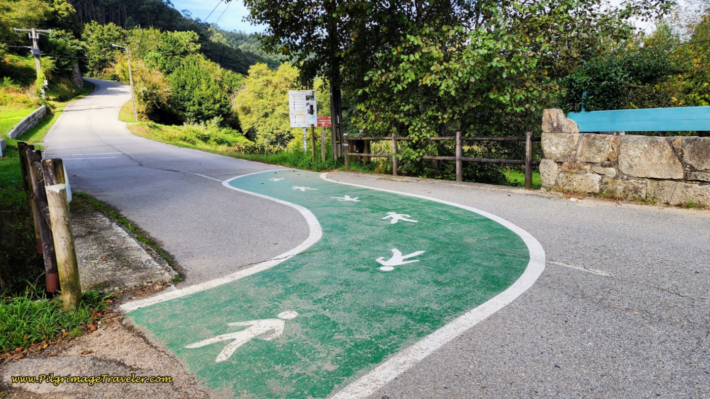 Cross Pavement on Green Path