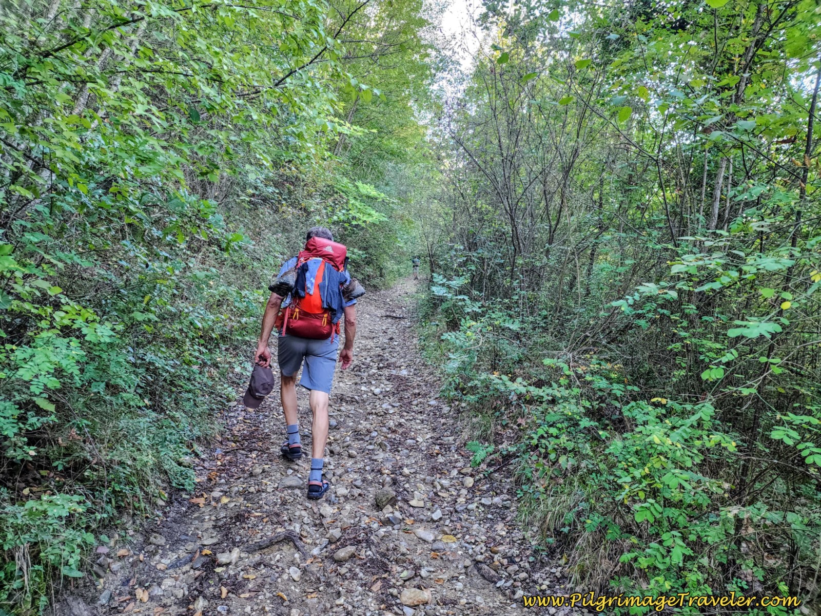 Final Path Uphill on day four of the Way of St. Francis from Sansepolcro to Citerna.
