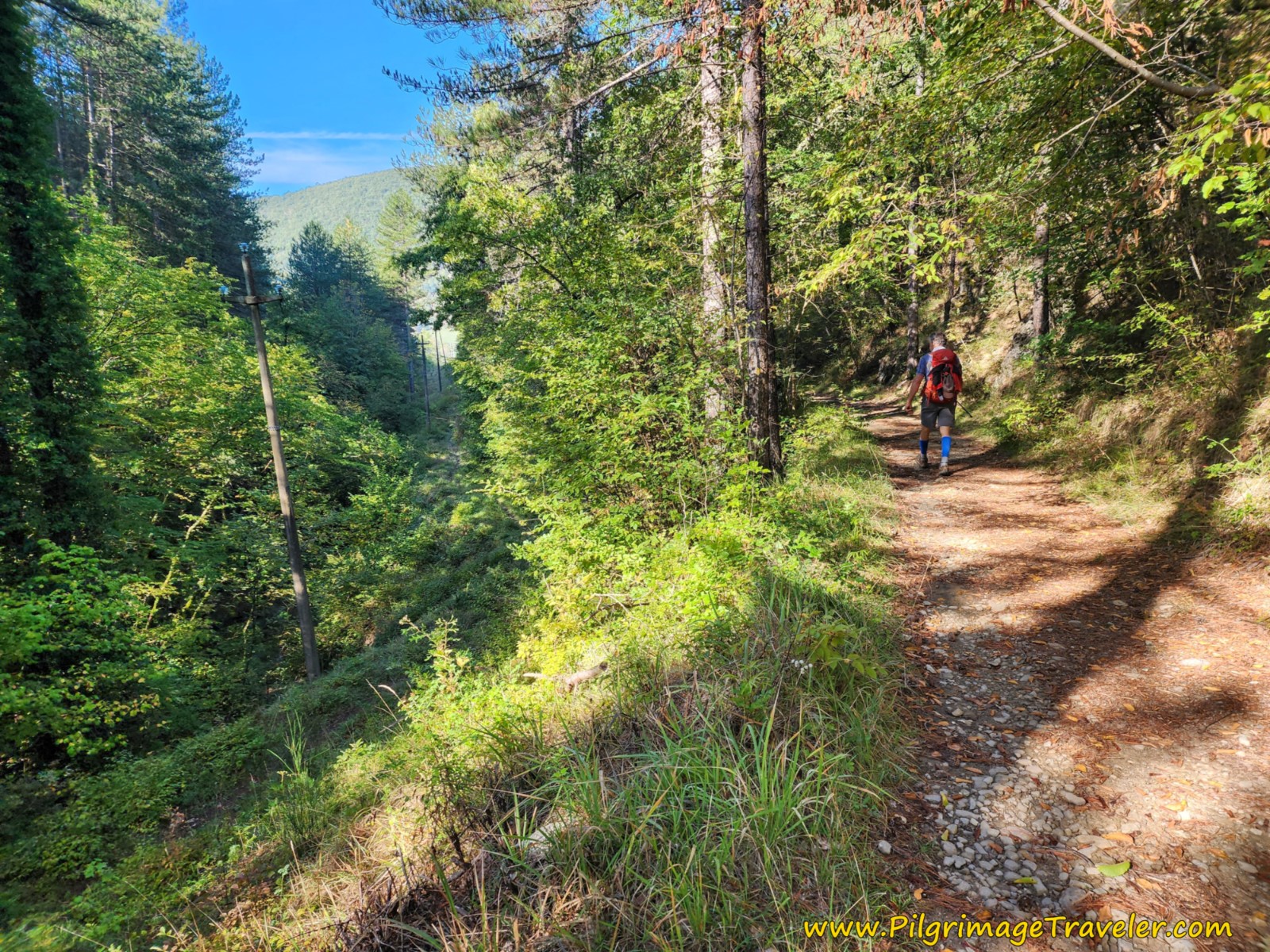 Following the Power Line