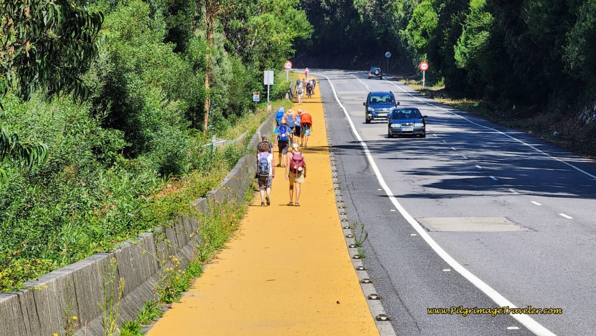 Camino Portugués Joins the PO-552 on Day Nineteen