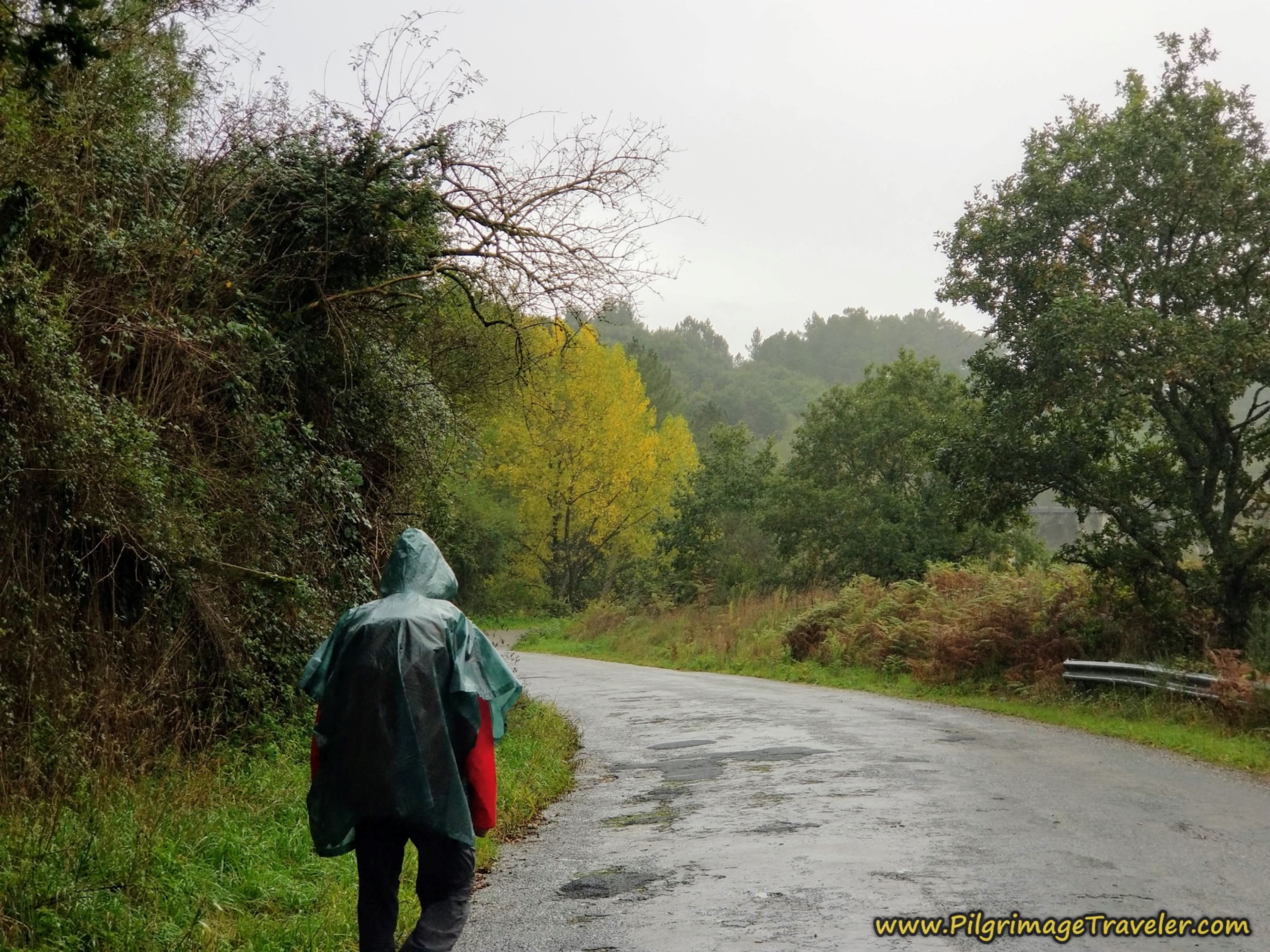 Lane Toward Ponte de Taboada Lane Toward Ponte de Taboada