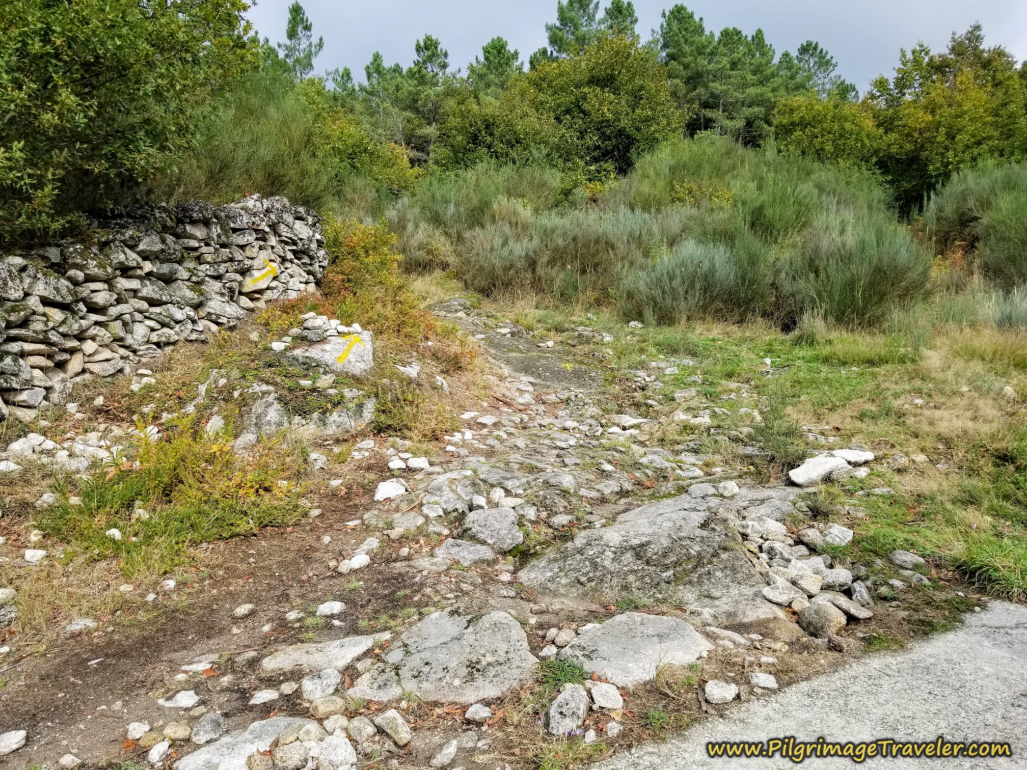 Left Turn Onto Ancient Road Left Turn Onto Ancient Road