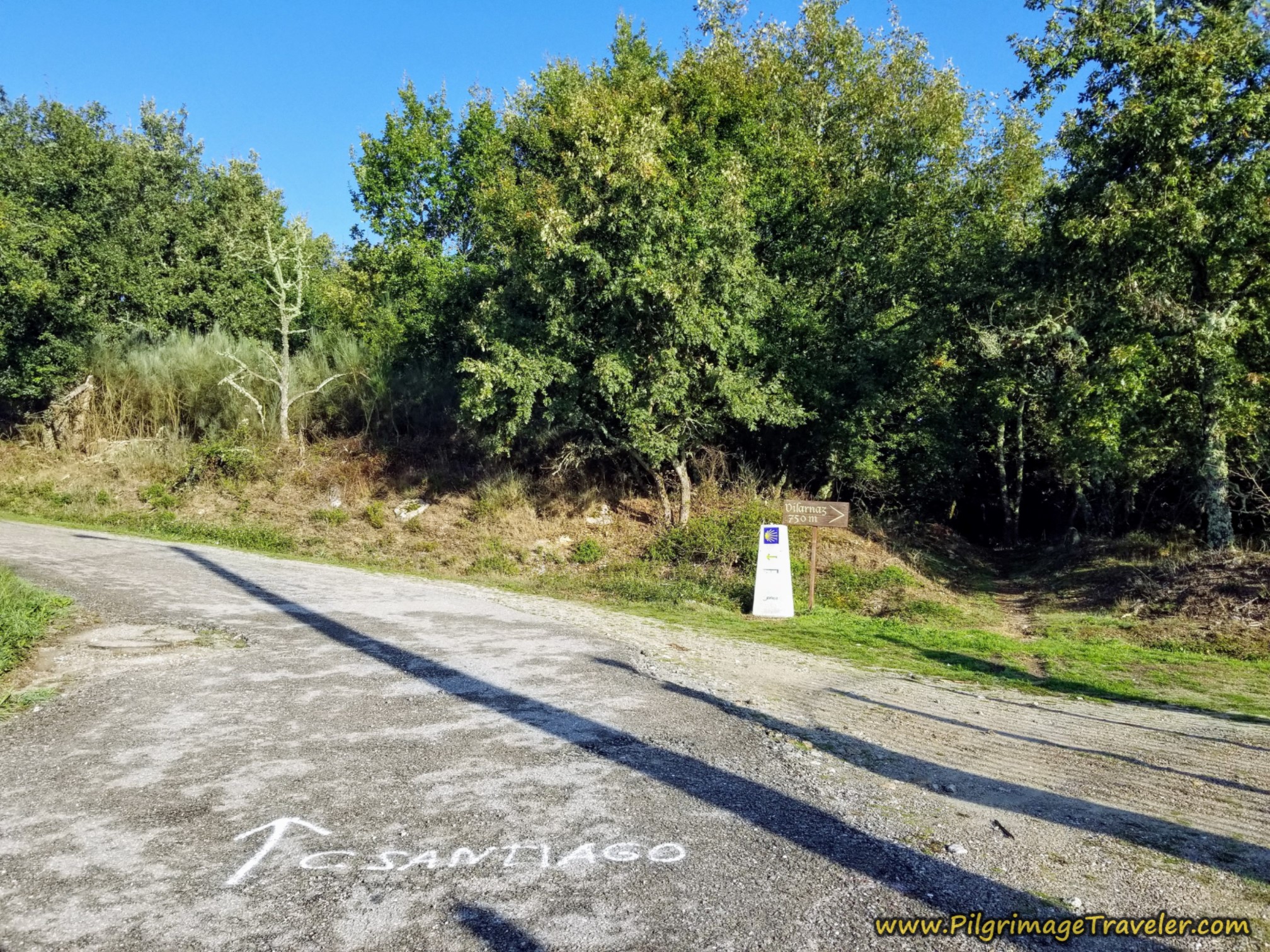 Left Turn Toward Boveda