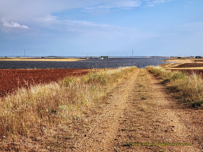 Massive Solar Farm Ahead along the Via de la Plata from Zamora to Montamarta