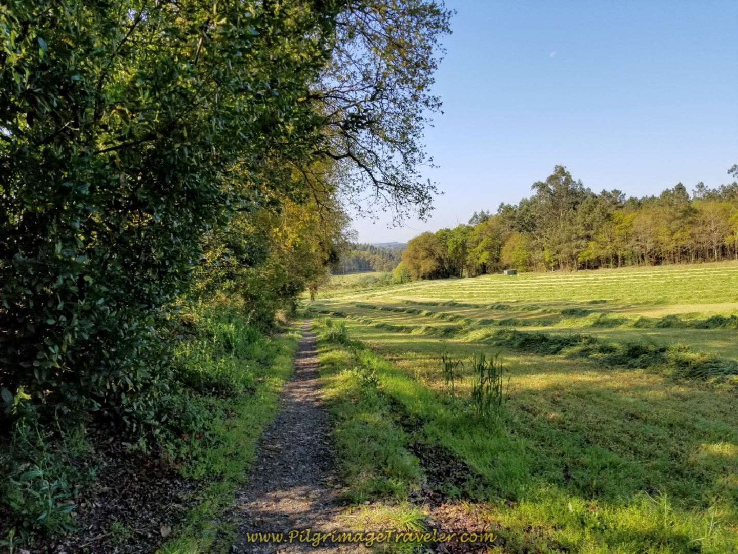 Tractor Lane Walks By Fields on day seven of the Camino Inglés