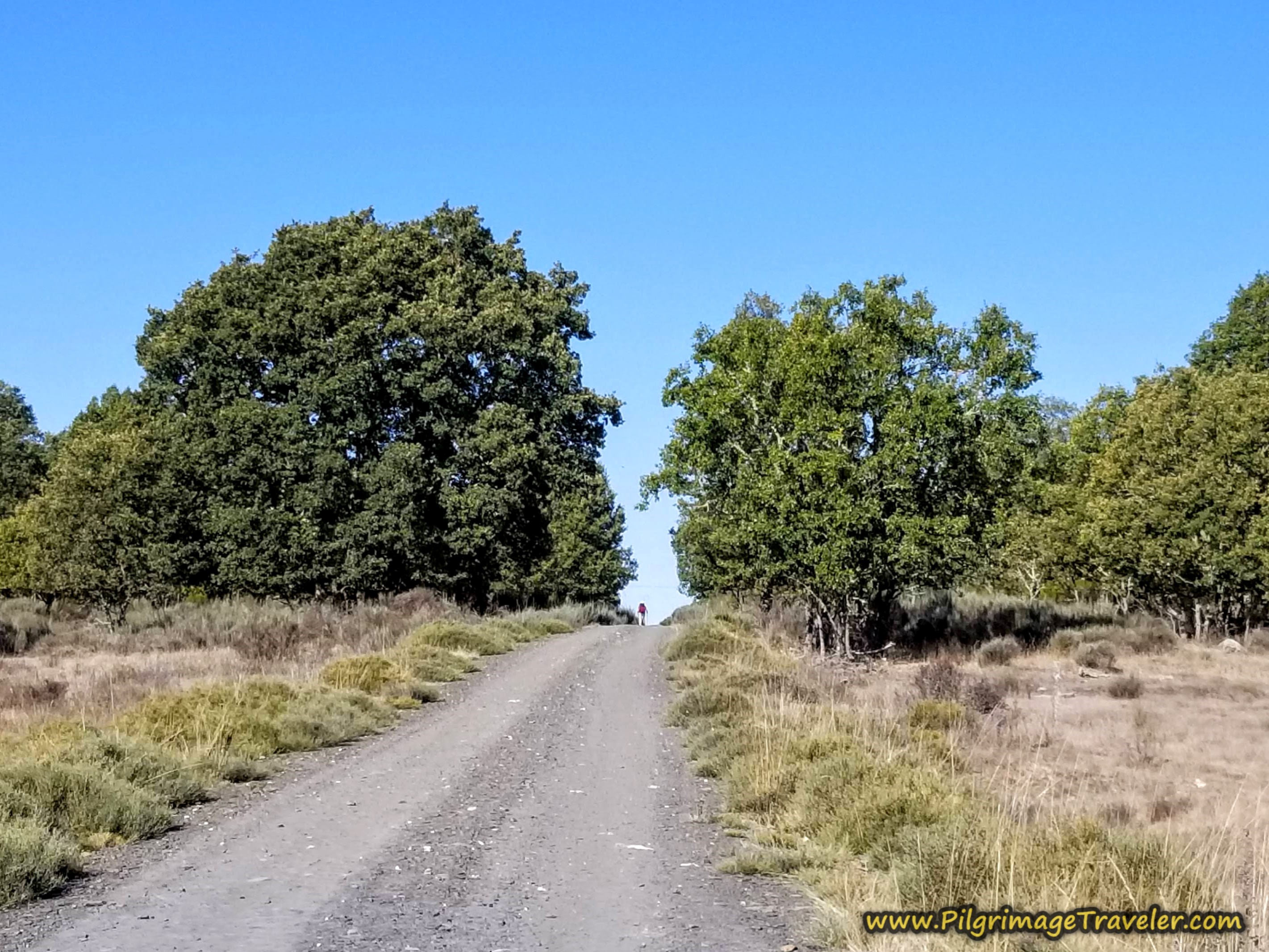 The Gravel Road to Cernadillo