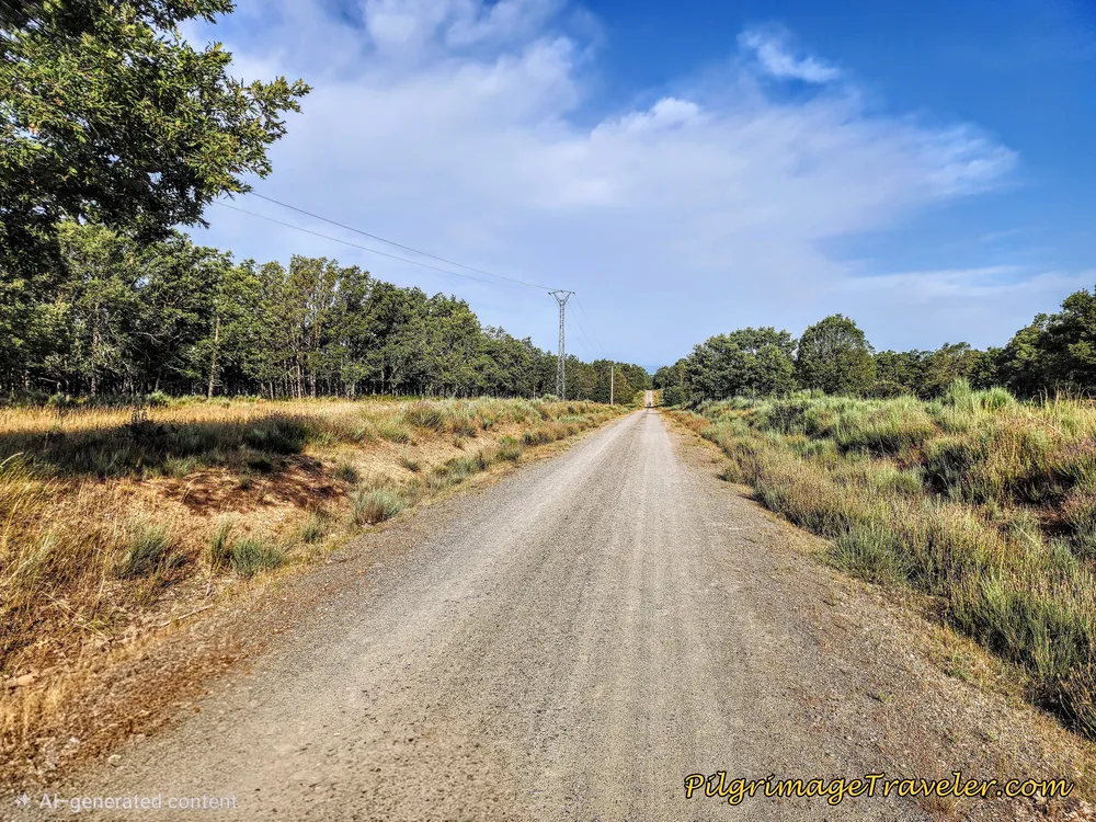The Gravel Road to Cernadillo