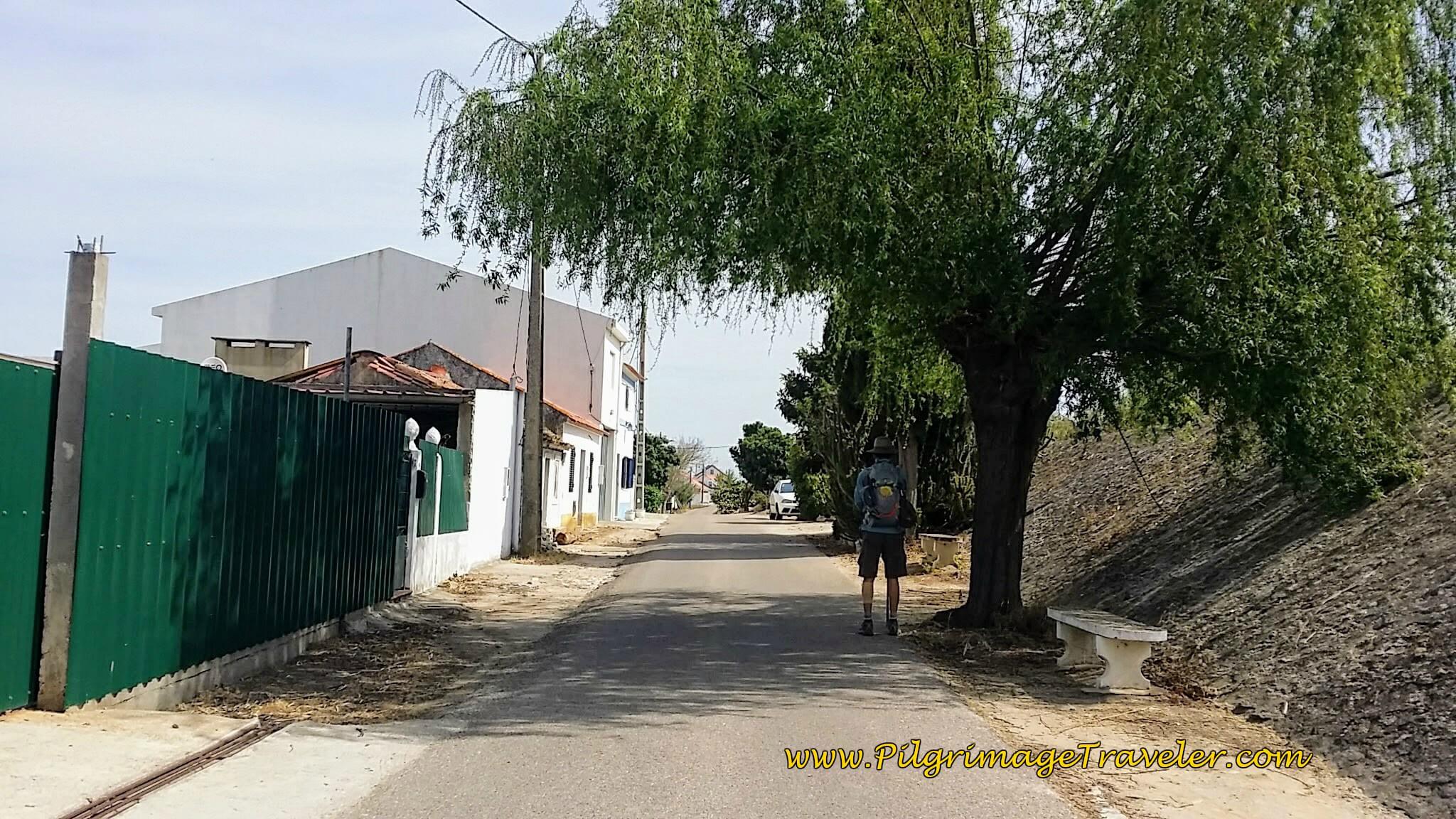 Rua do Morgado Towards Porto Muge