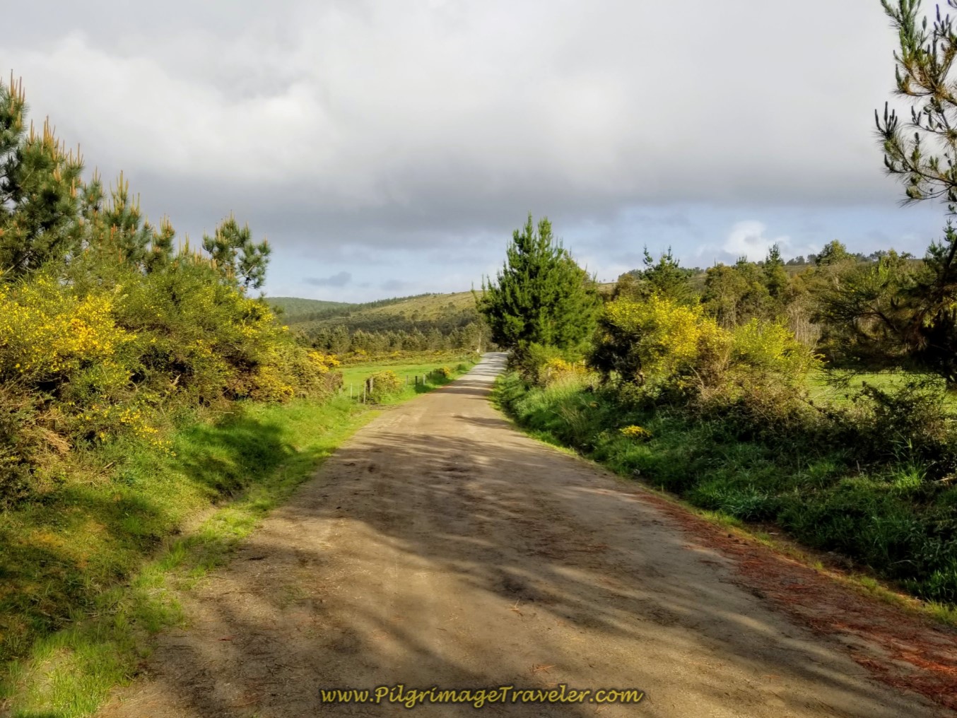 Sun Peeks Out Farther Along the Dirt Road