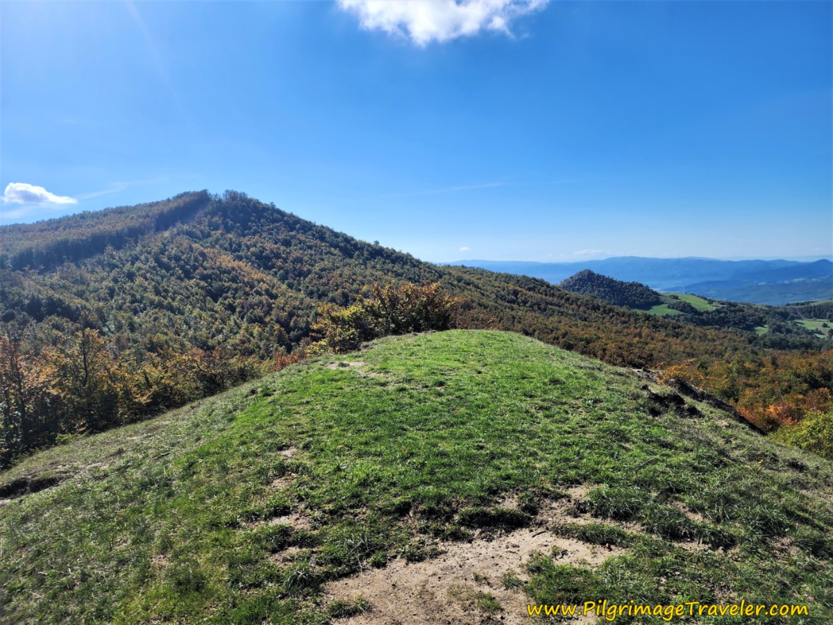 That's the Way Ahead