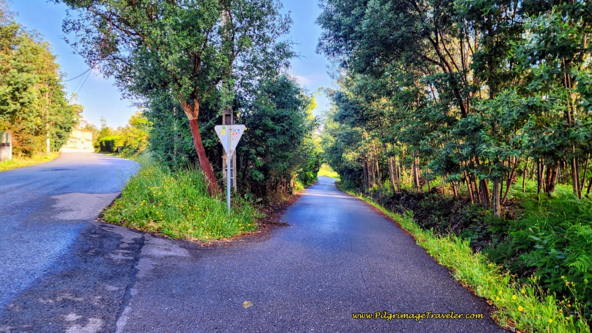 Turn Right Off Rua Central to Paved Lane