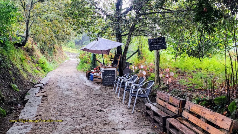 Vendor at Intersection Near Cacheiro