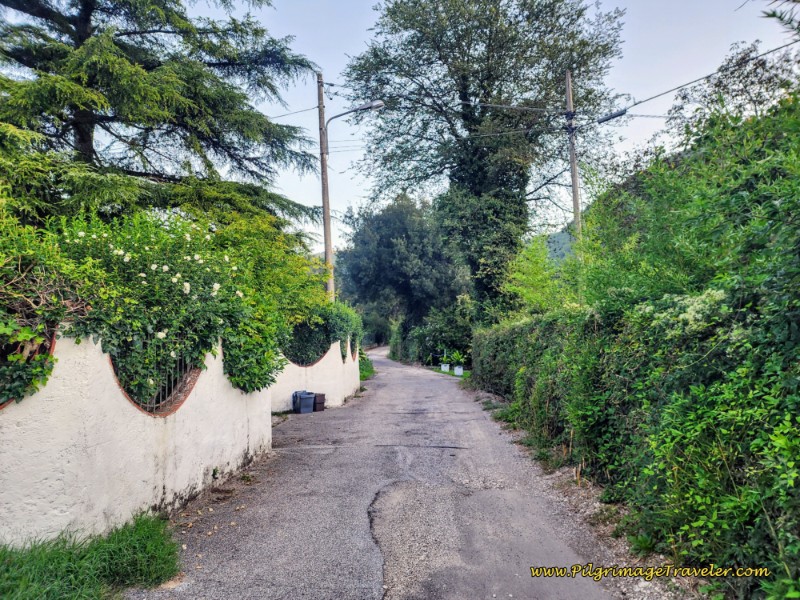 Way of St. Francis: Day Sixteen, Macenano to Piediluco - Walking Through Mazzelvetta I