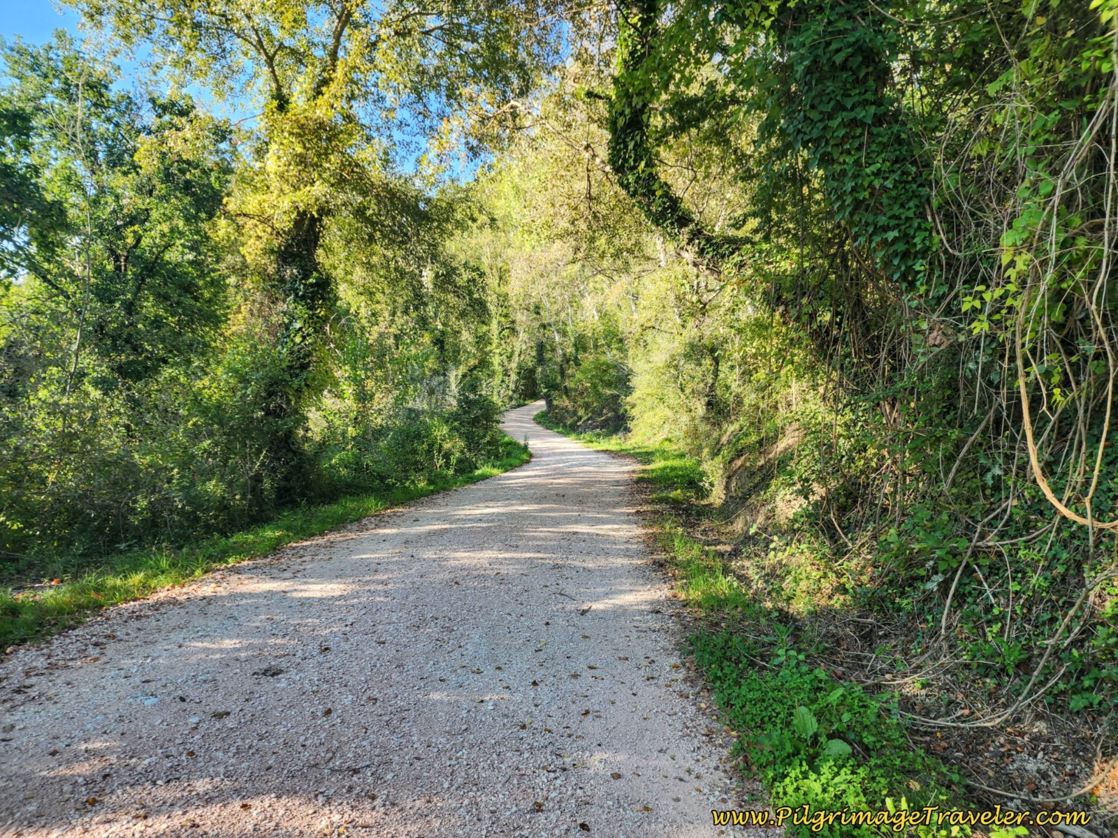 Winding Gravel Road Towards Valfabbrica