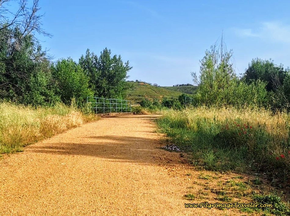 Cross Arroyo by Gate