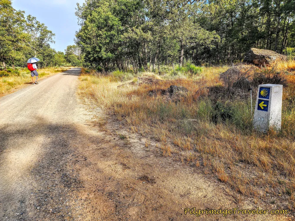 275.421 Waymark Near Cernadillo
