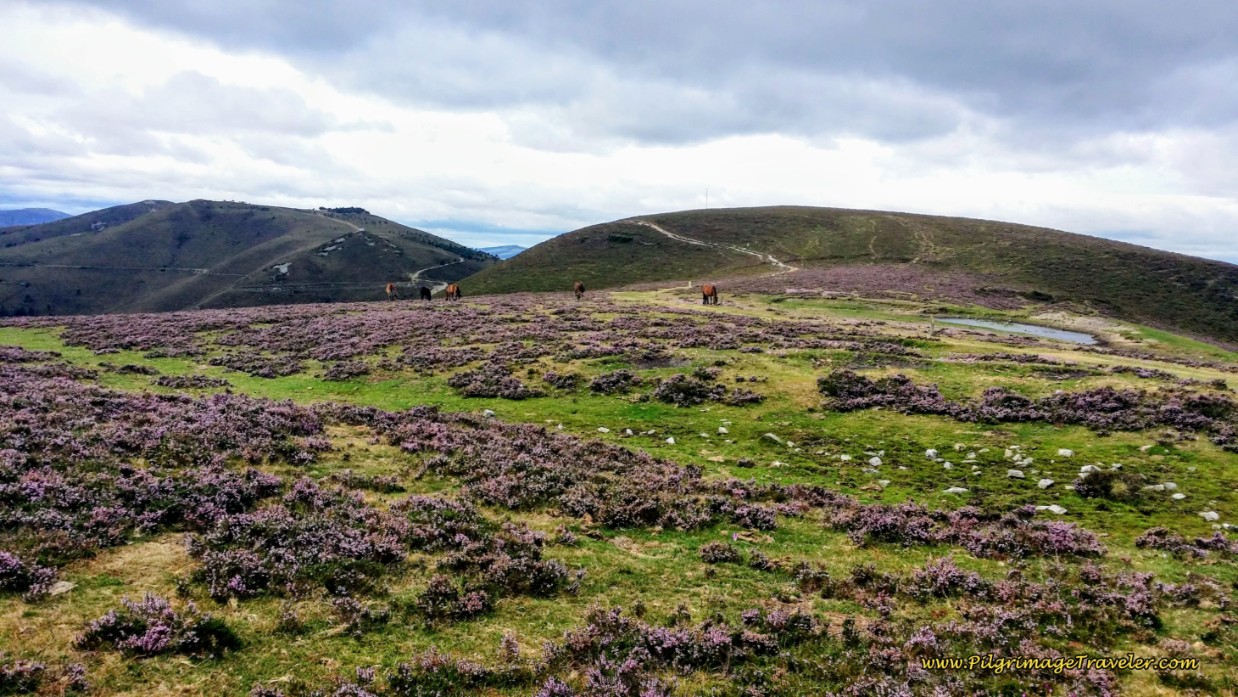 The Open High Plateau