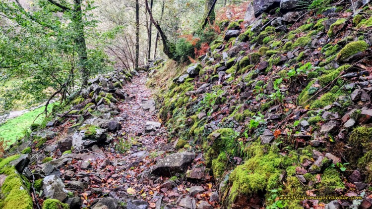 Climbing on Steeper, More Rugged Trail