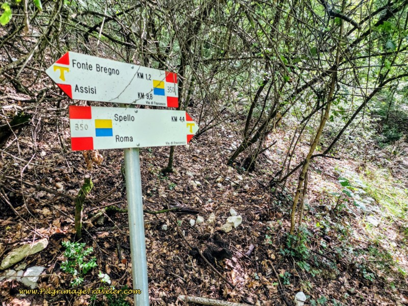 Way of St. Francis: Day Eleven, Assisi to Spello, Signpost - Spello 4.4 Kilometers Away