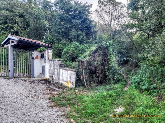 Way of St. Francis: Day Sixteen, Macenano to Piediluco - The Final Small Climbs Begins on This Trail