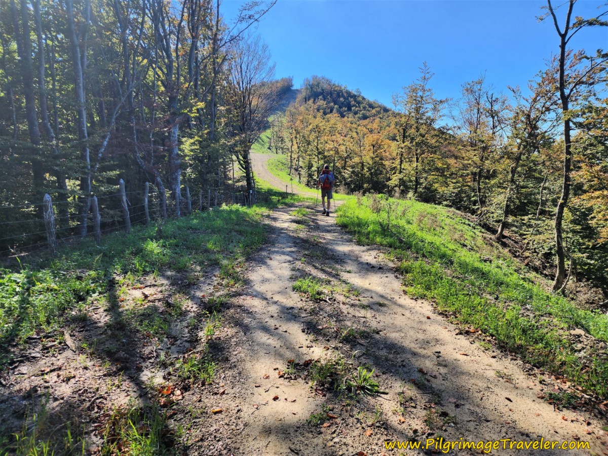 Getting Closer to the Top