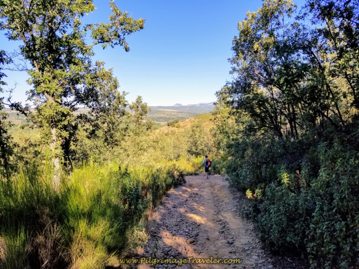 Continue the Descent