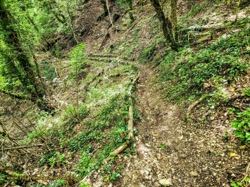 Way of St. Francis: Day Fifteen, Spoleto to Macenano - Descending Onward Trail Through the Forest